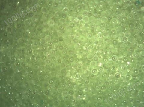 绿色荧光镀膜玻璃微球