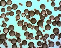 钛酸钡实心玻璃微球