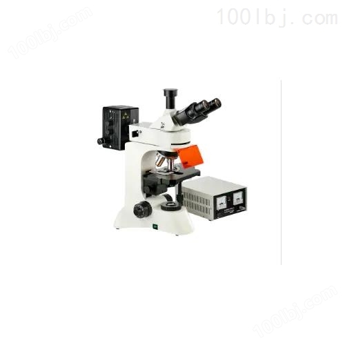 PRF- 3201 荧光显微镜