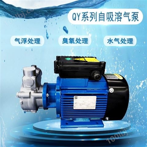 化工电镀污水水废气自吸溶气泵锅炉水循环泵