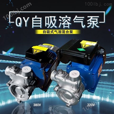 50QY-12不锈钢自吸溶气泵臭氧水制取设备
